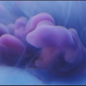 Meet your Posher, Gerardo